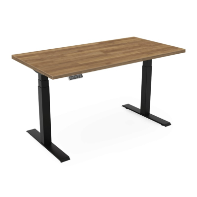 Schreibtisch Modell UDE2N, Elektrisch Höhenverstellbar, mit Massivholzplatte Buchenholz